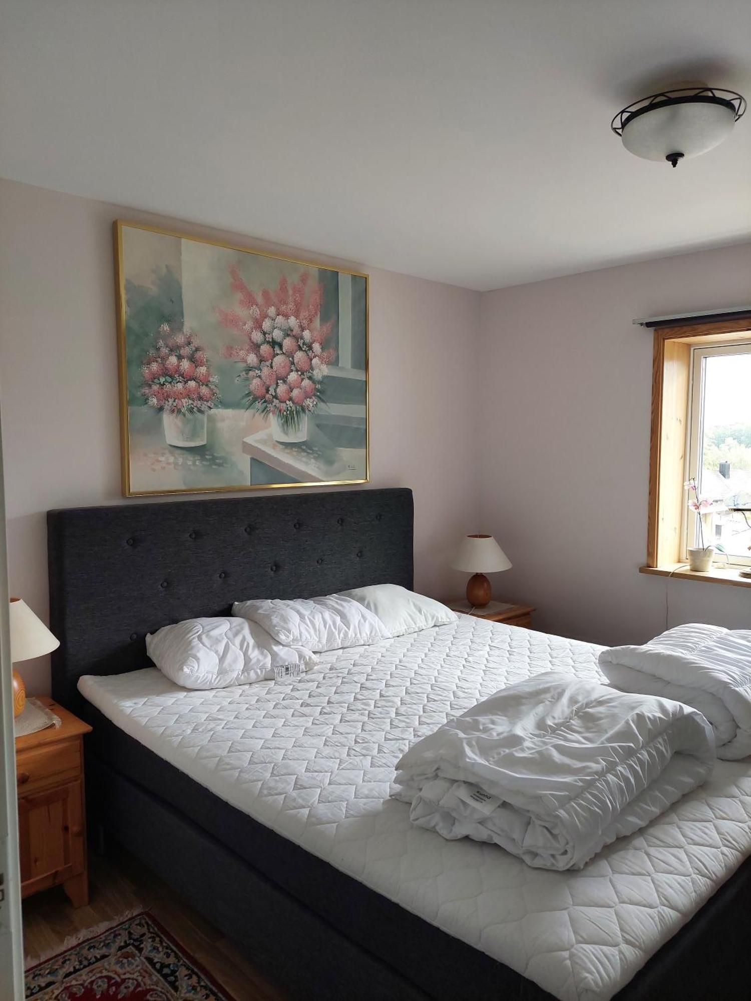 Villa Med Sjoutsikt Immeln Exteriér fotografie